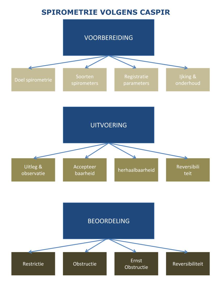 Spirometrie volgens CASPIR